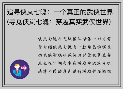追寻侠岚七魄：一个真正的武侠世界(寻觅侠岚七魄：穿越真实武侠世界)